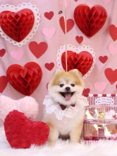 20240210モコくん